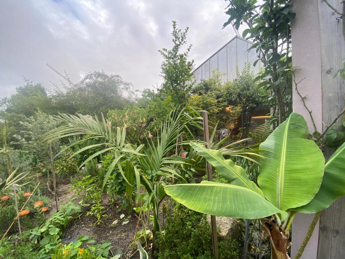 Koko Garden Apartment OOporto Extérieur photo